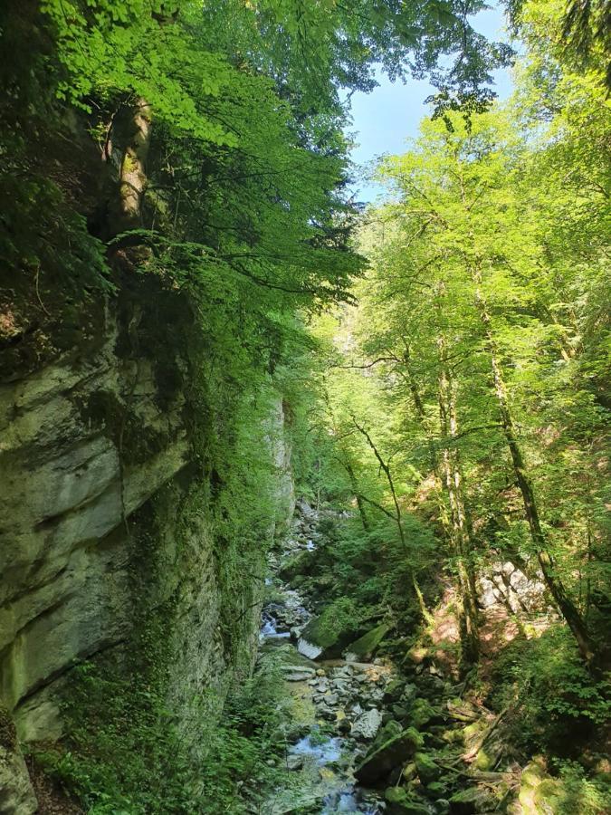 Privatunterkunft Aux Bord De L'areuse Areuse